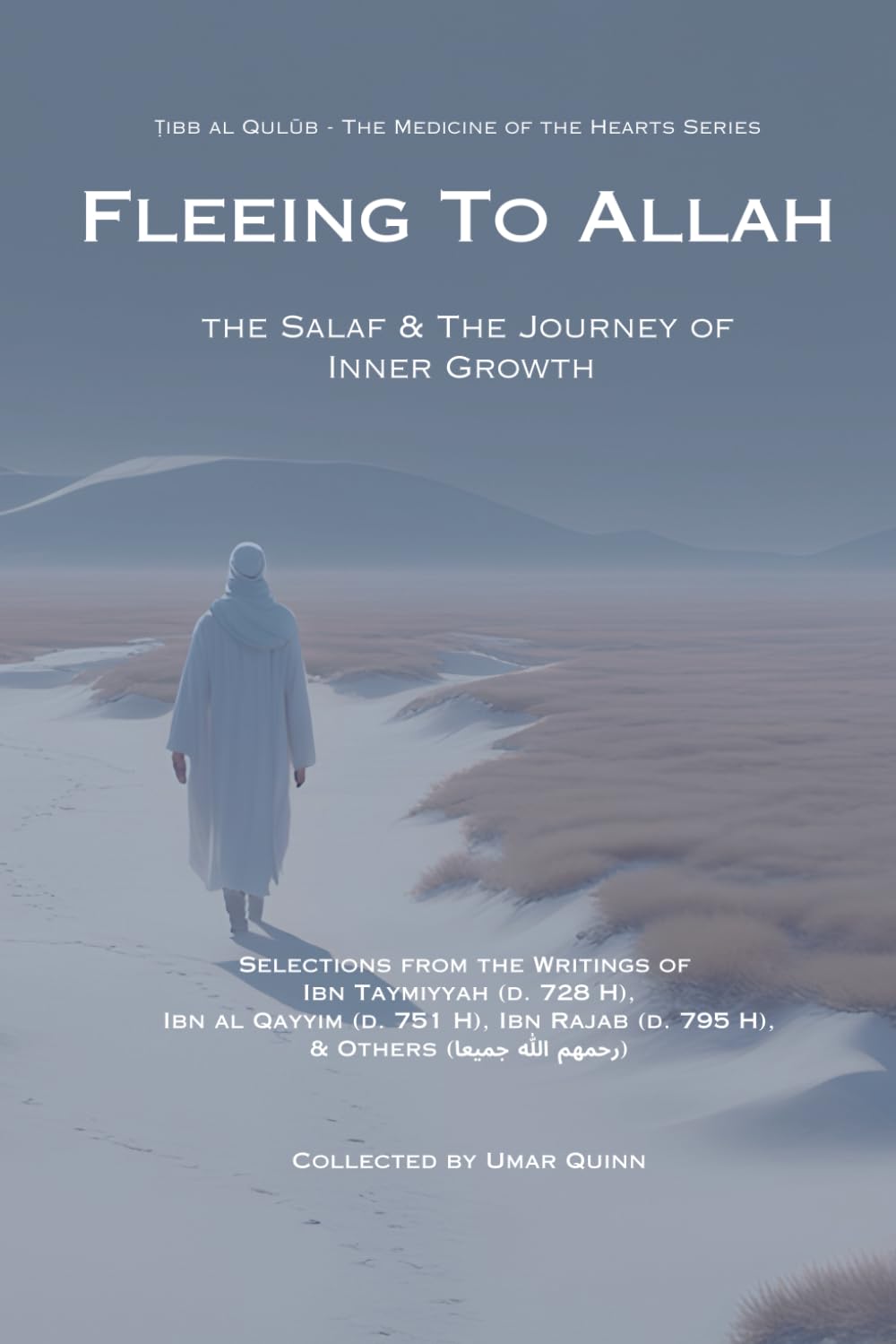 Fleeing to Allah — used book cover