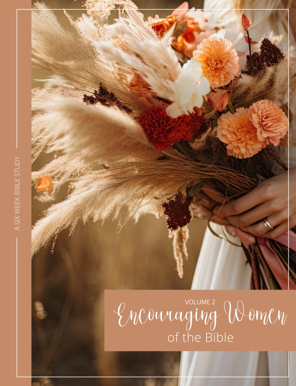 Encouraging Women of the Bible, Volume II — used book cover