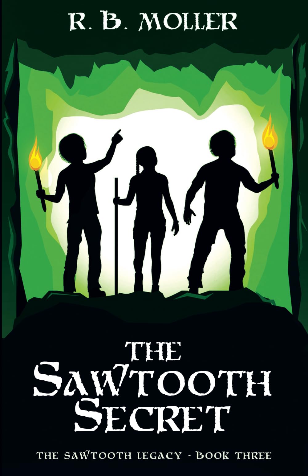 The Sawtooth Secret — used book cover