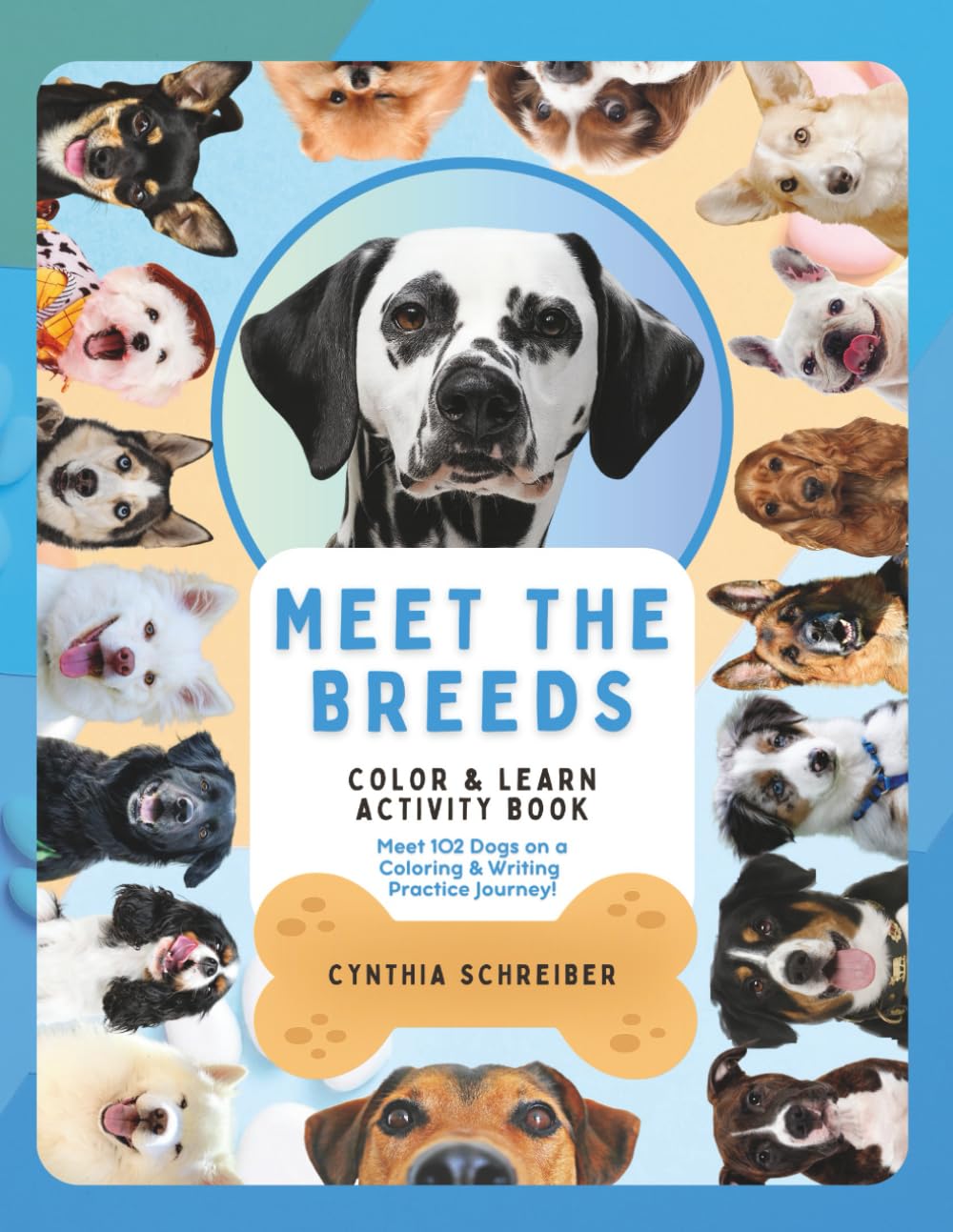 Paws and Colors — used book cover