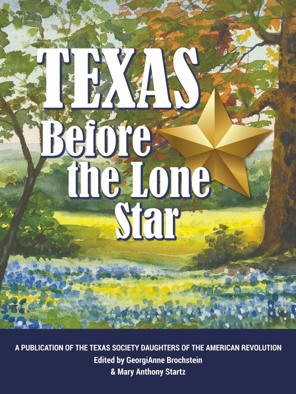 Texas Before the Lone Star — used book cover