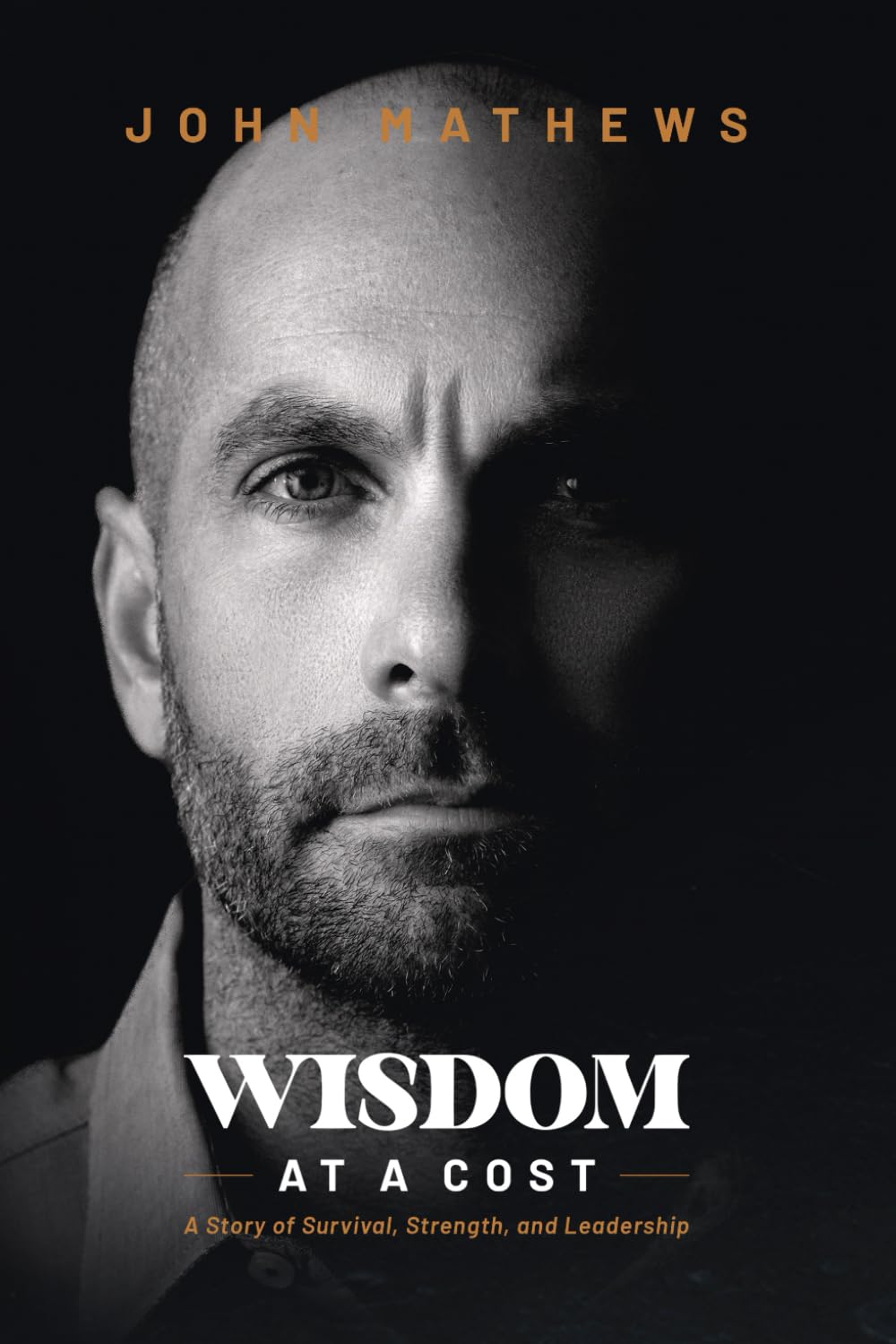Wisdom At A Cost — used book cover