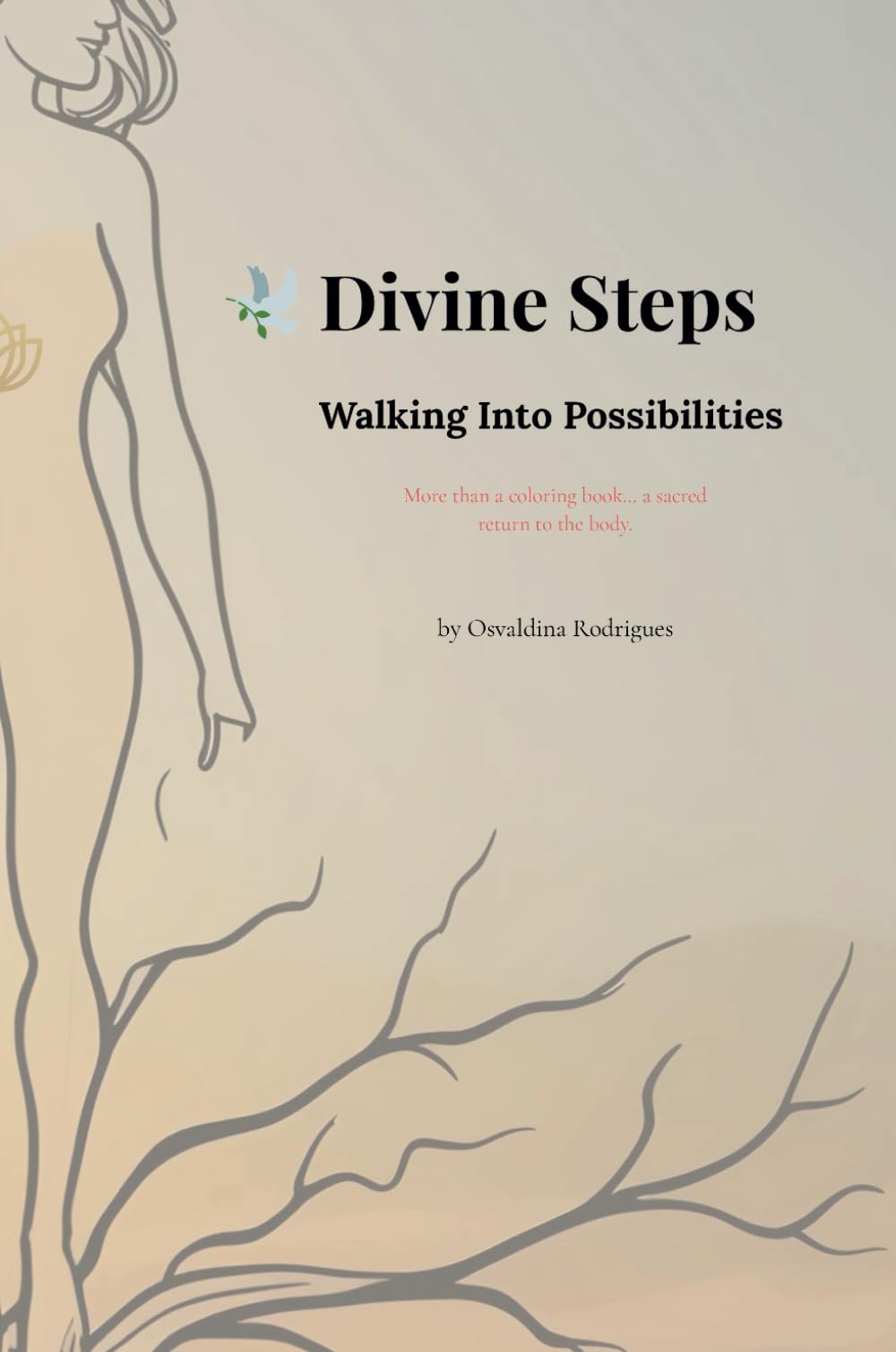 Divine Steps: Walking Into Possibilities — used book cover