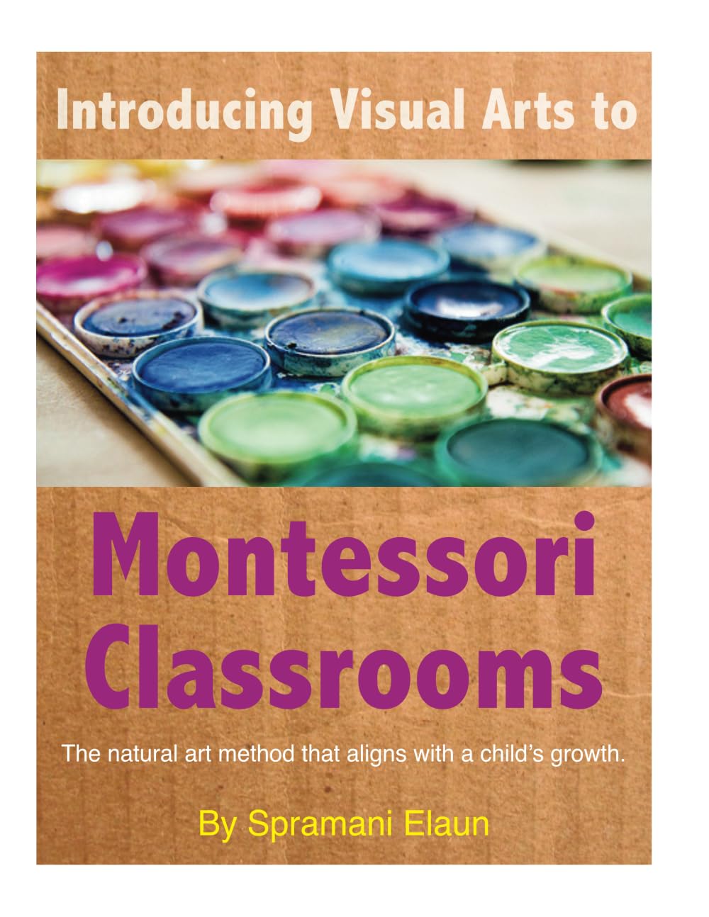 Introducing Visual Arts to The Montessori Classrooms — used book cover
