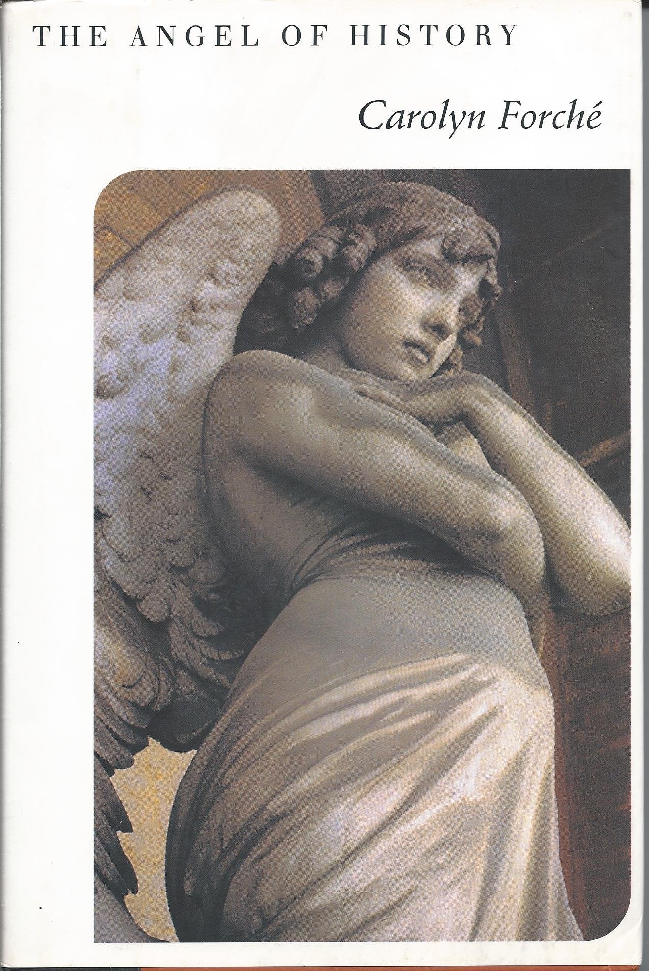 The Angel of History