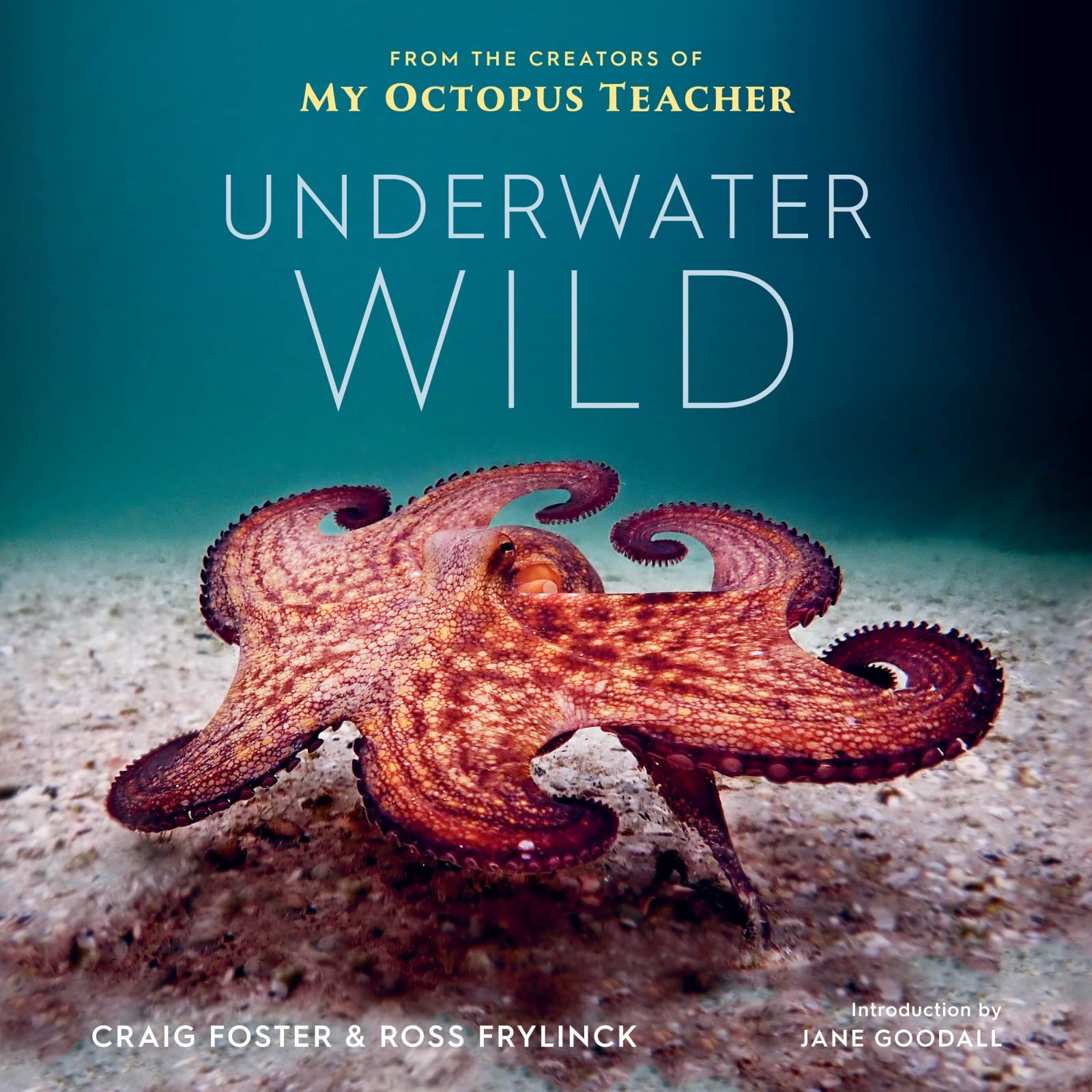 Underwater Wild: My Octopus Teacher&