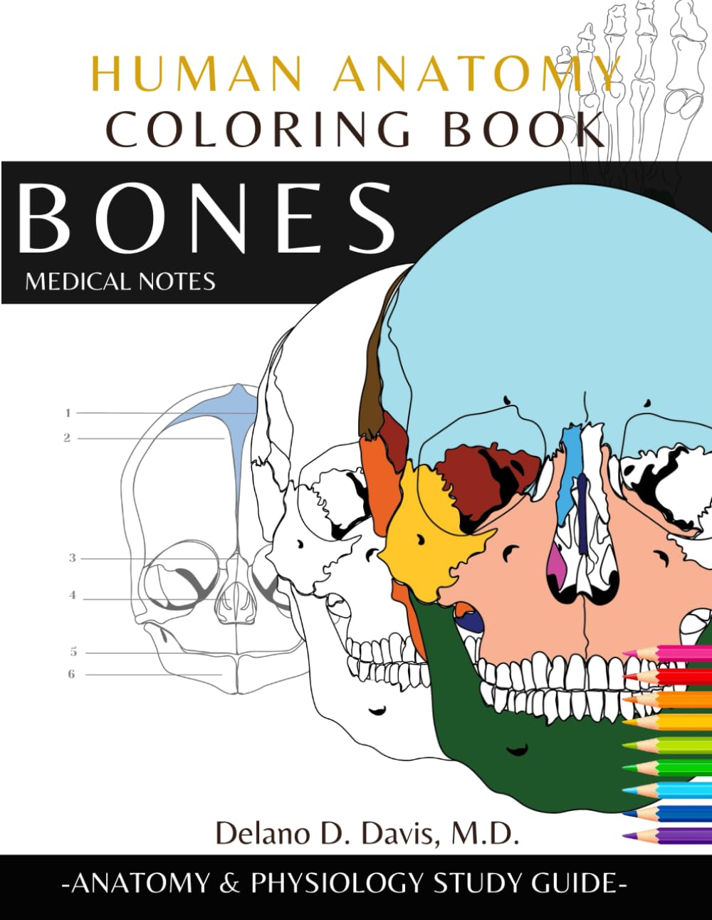 Human Anatomy Coloring Book — used book cover