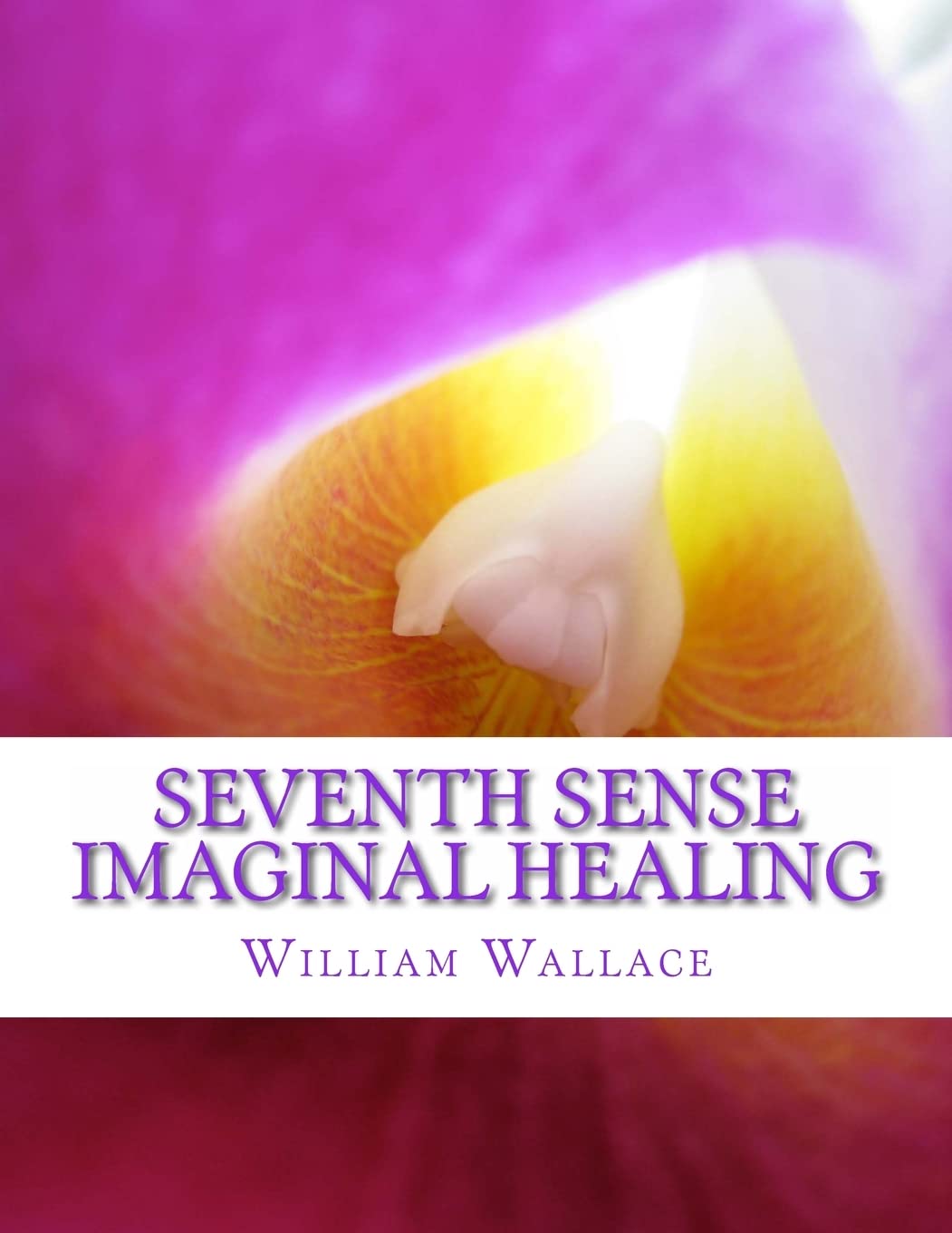 Seventh Sense Imaginal Healing: An homage to Dr. Richard Bartlett, Benjamin Bibb, Barbara Ann Brennan, Donna Eden, Dr. Meg Blackburn Losey, Dr. Gerald ... Carl Simonton, Thomas Willhite, and others.