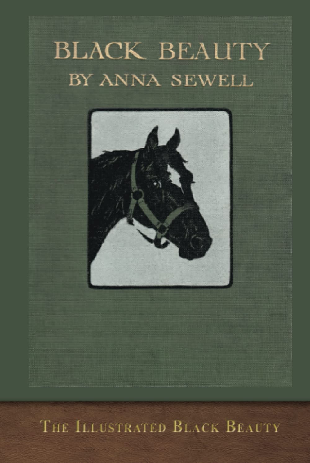 The Illustrated Black Beauty — used book cover