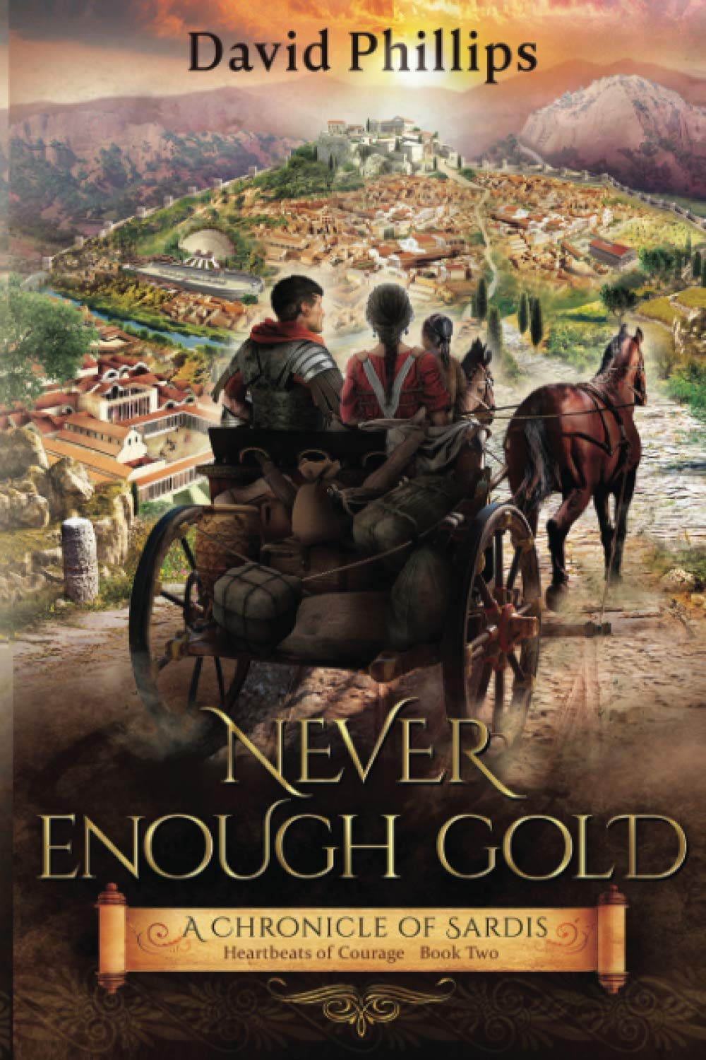 Never Enough Gold — used book cover