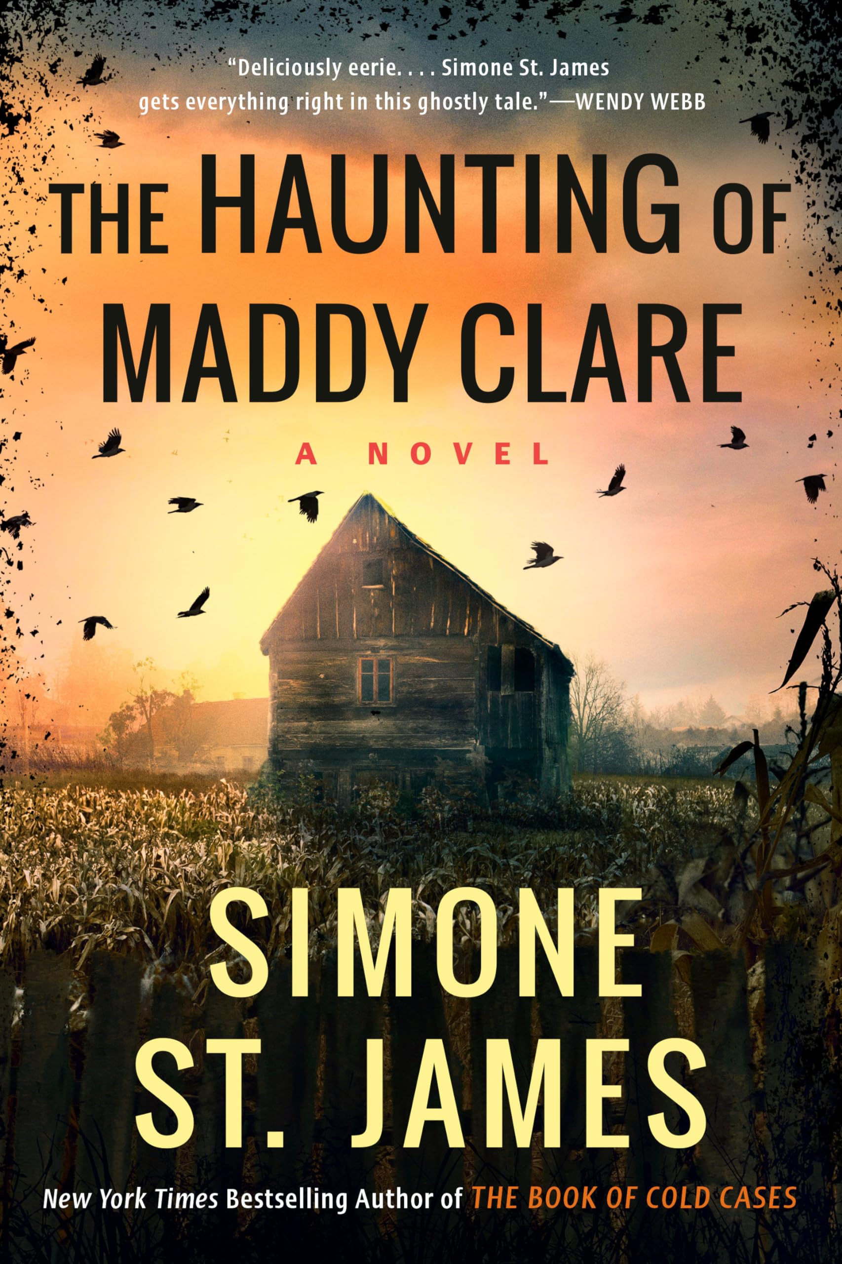 The Haunting of Maddy Clare — used book cover