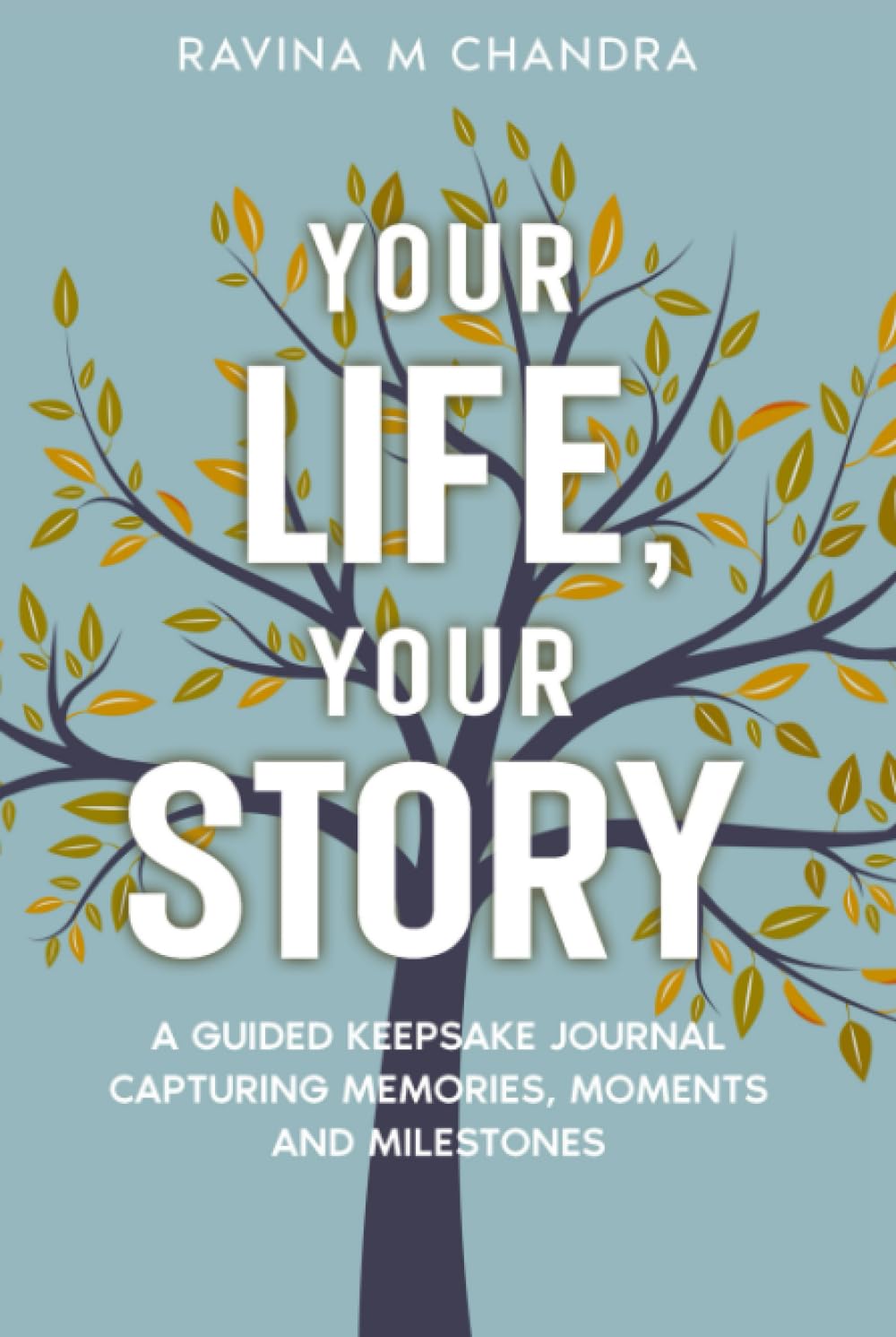Your Life, Your Story — used book cover