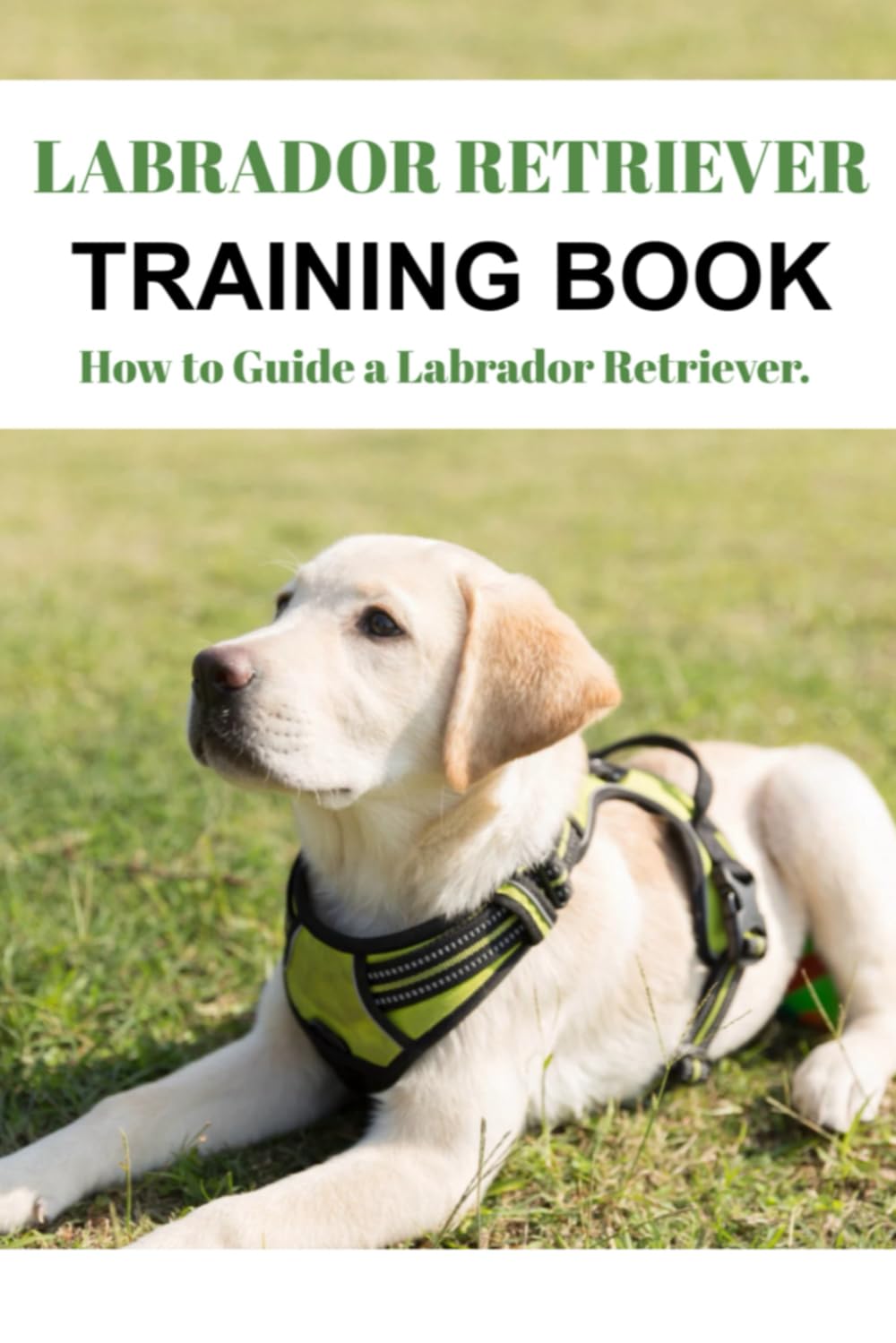 Labrador Retriever Training Book — used book cover