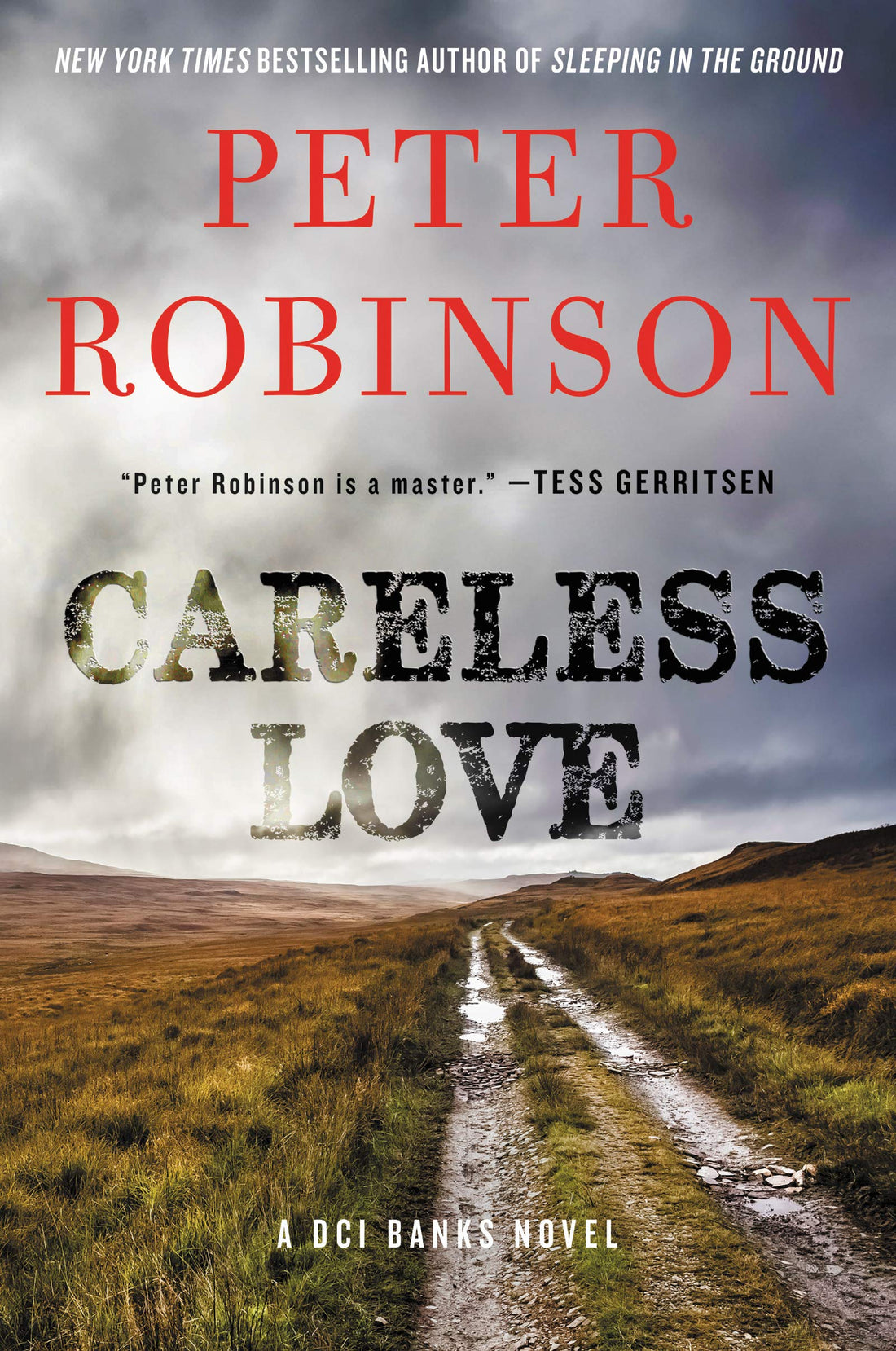 Careless Love: A DCI Banks Novel (Inspector Banks Novels, 25)