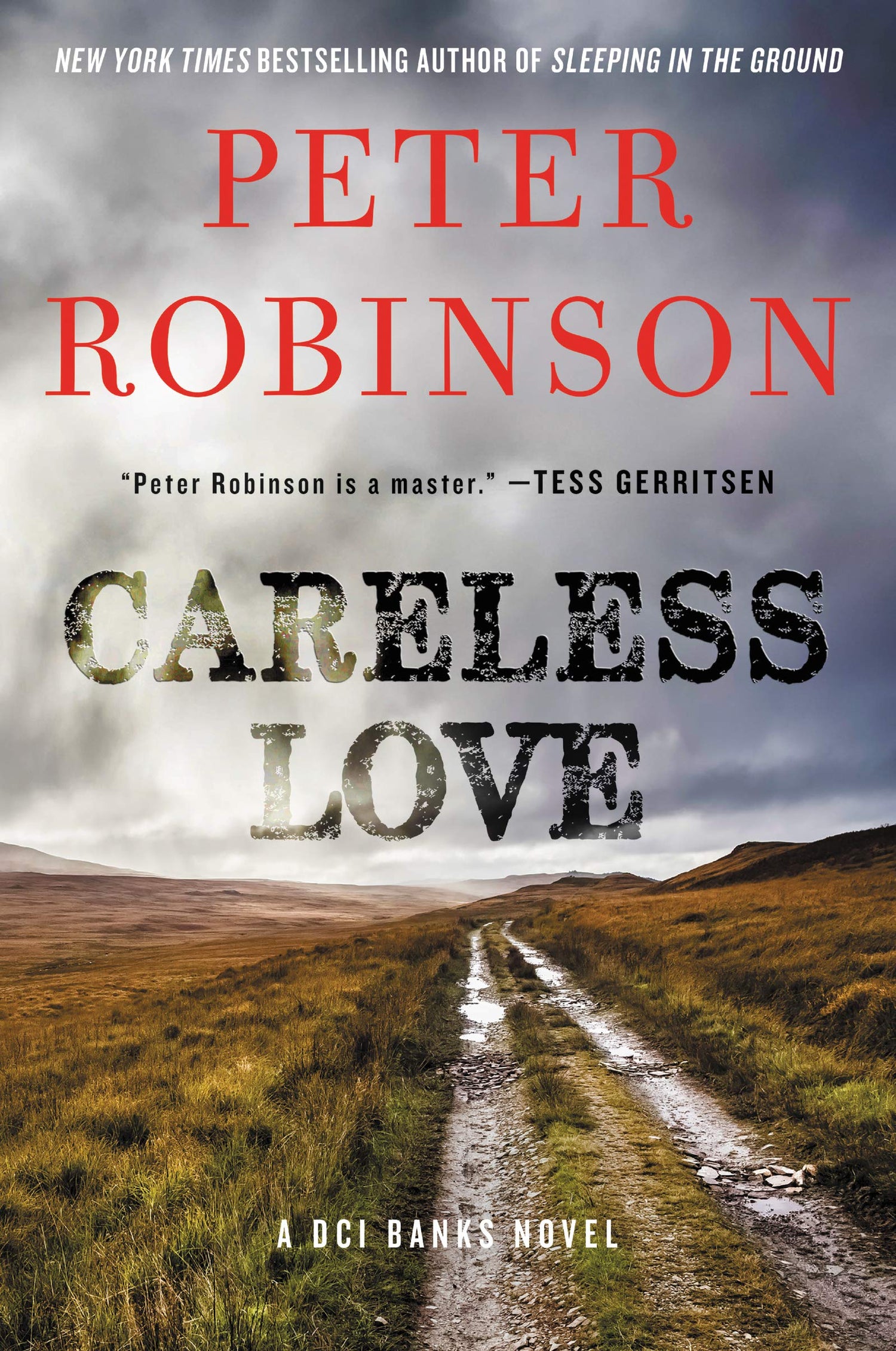 Careless Love: A DCI Banks Novel (Inspector Banks Novels, 25)