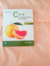 Starting Out with C++ — used book cover