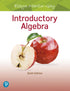 Introductory Algebra — used book cover