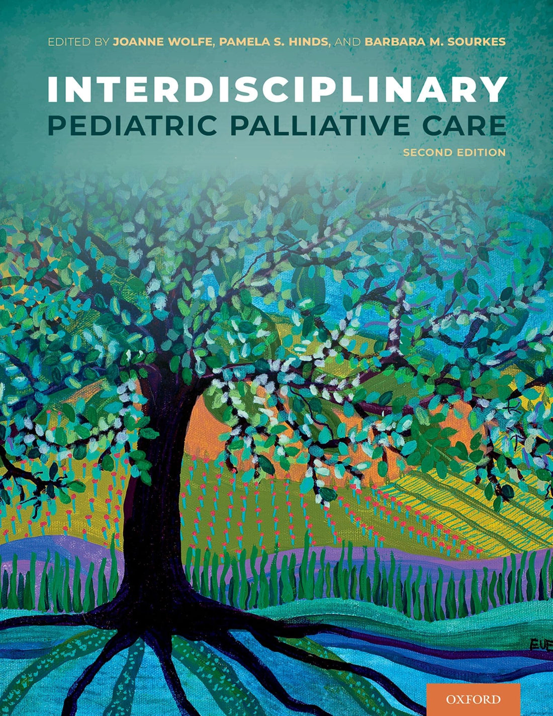 Interdisciplinary Pediatric Palliative Care — used book cover