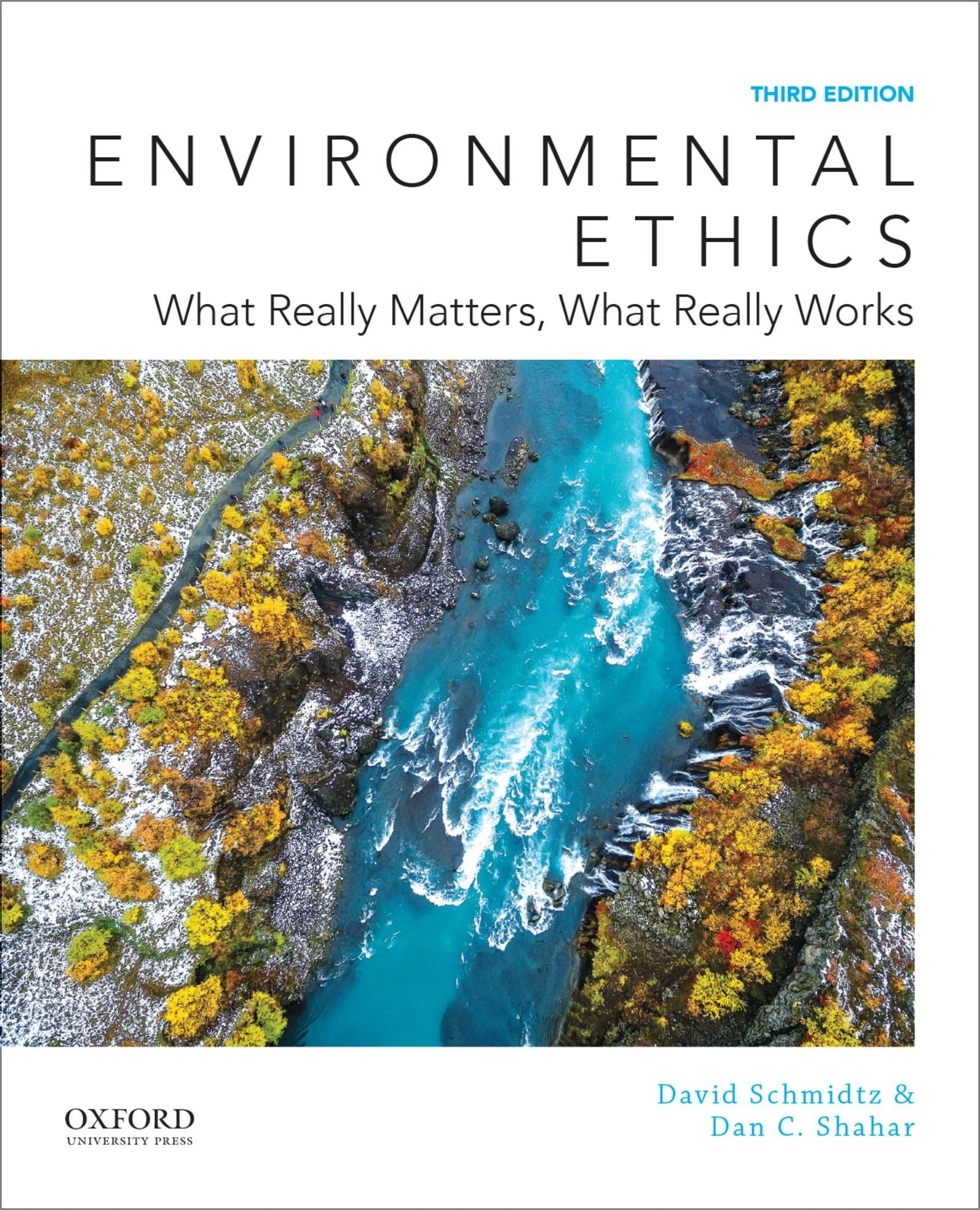 Environmental Ethics: What Really Matters, What Really Works — used book cover