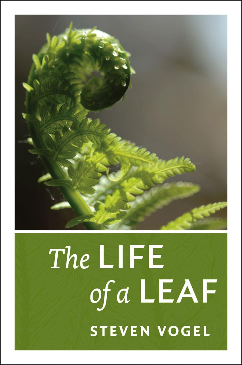 The Life of a Leaf — used book cover