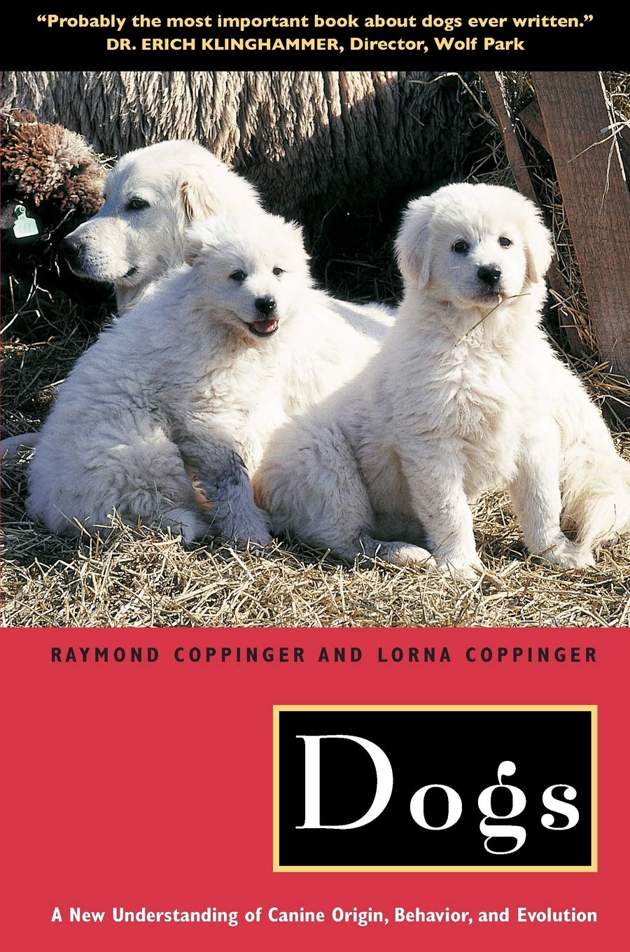 Dogs: A New Understanding of Canine Origin, Behavior and Evolution — used book cover