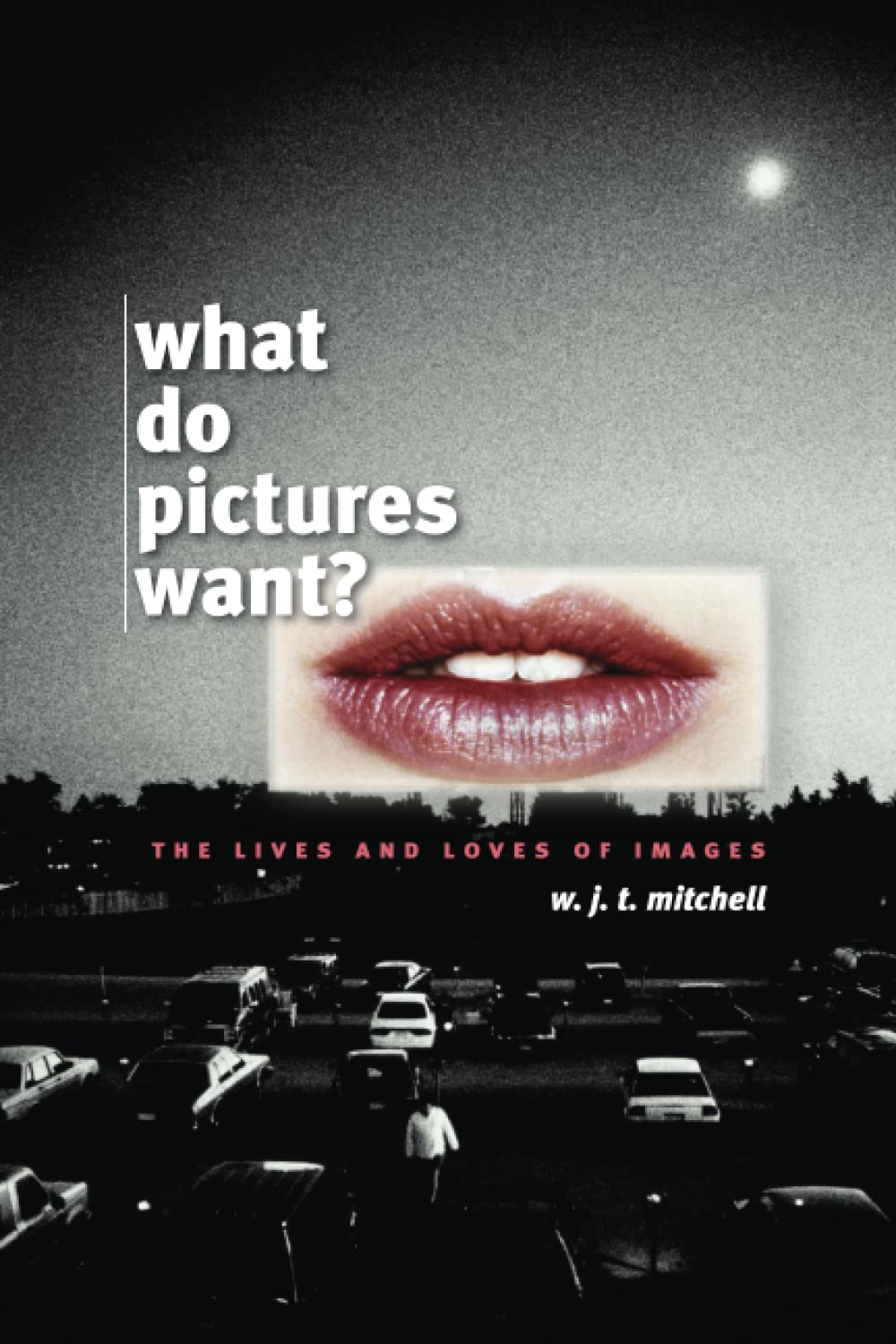 What Do Pictures Want?: The Lives and Loves of Images