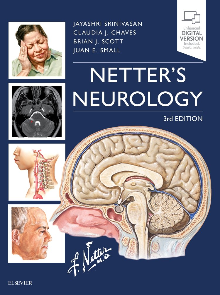 Netter&