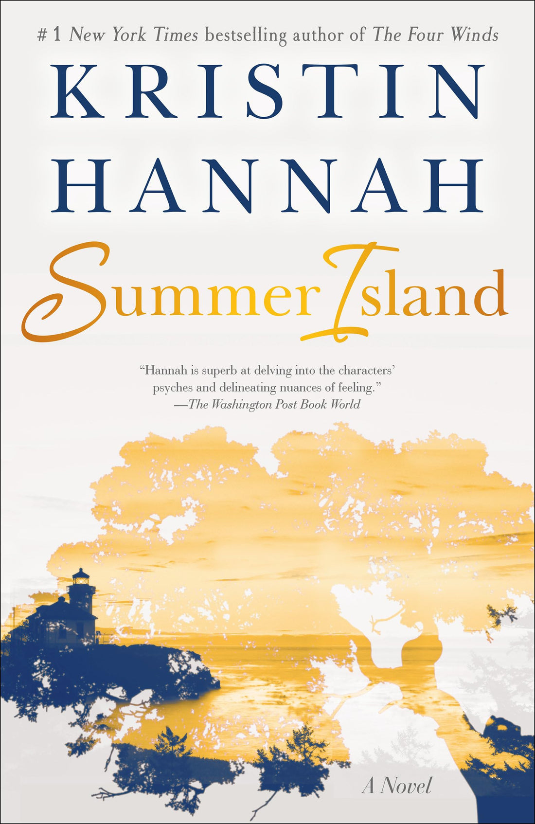 Summer Island: A Novel — used book cover