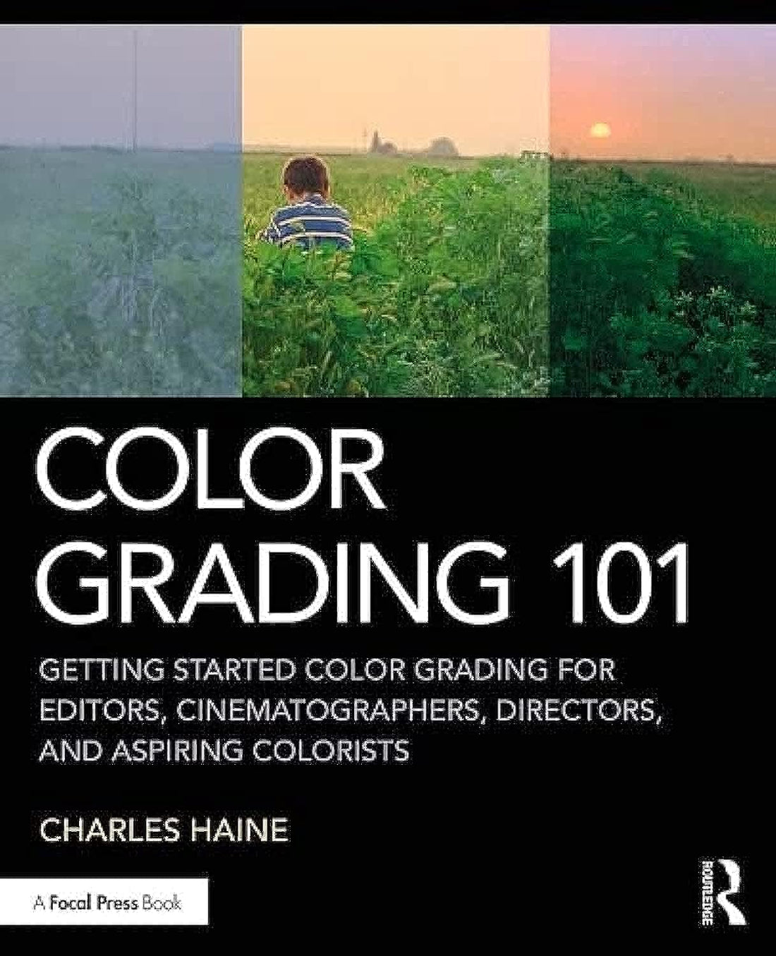 Color Grading 101 — used book cover