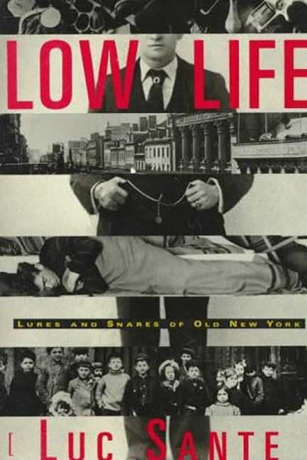 Low Life: Lures and Snares of Old New York — used book cover