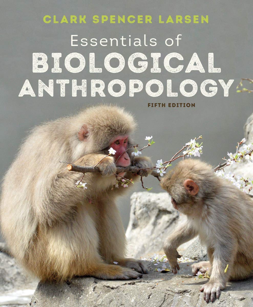 Essentials of Biological Anthropology — used book cover