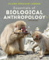 Essentials of Biological Anthropology — used book cover