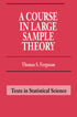 A Course in Large Sample Theory — used book cover