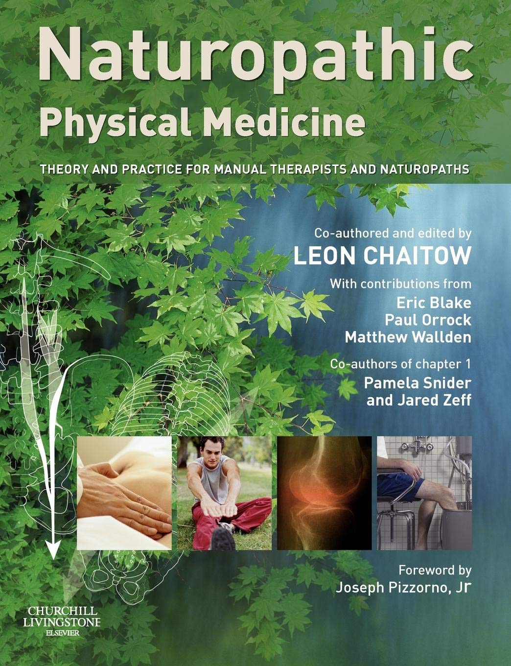 Naturopathic Physical Medicine: Theory and Practice for Manual Therapists and Naturopaths