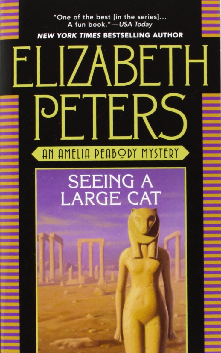 Seeing a Large Cat