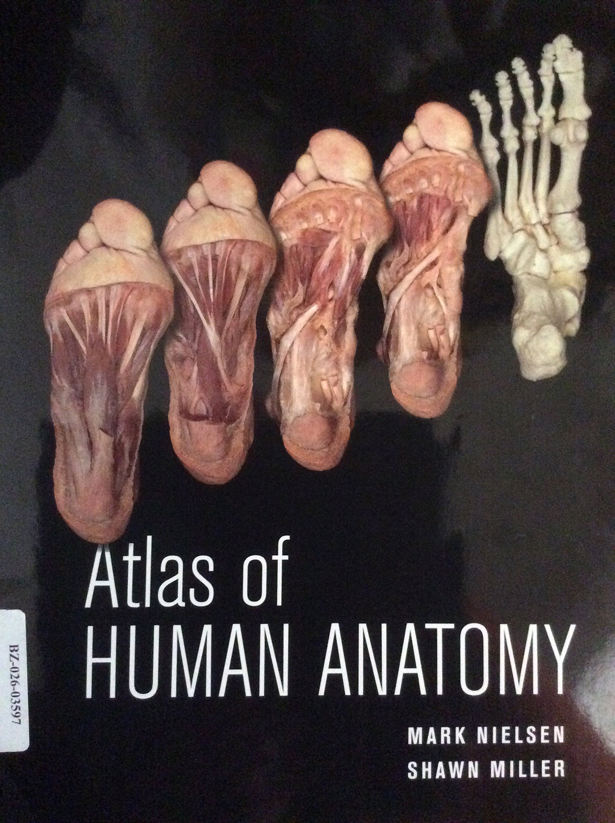 Atlas of Human Anatomy