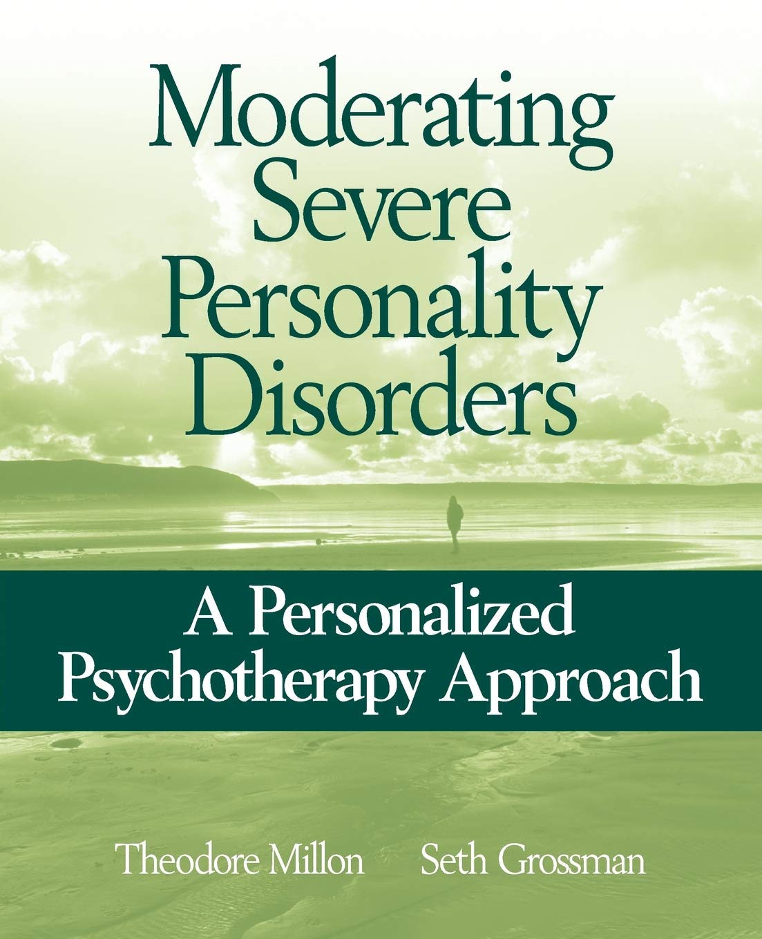Moderating Severe Personality Disorders — used book cover