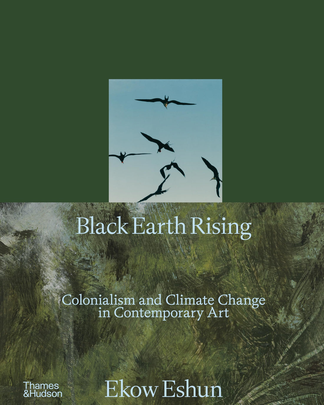 Black Earth Rising: Colonialism and Climate Change in Contemporary Art