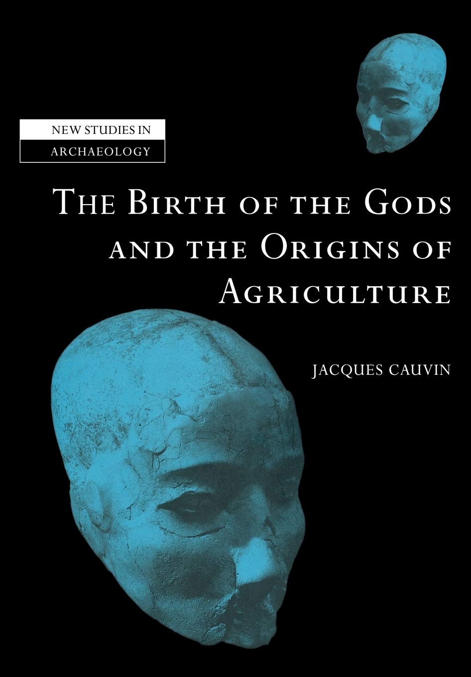 Birth Gods and Origins Agriculture (New Studies in Archaeology) (Volume 0)
