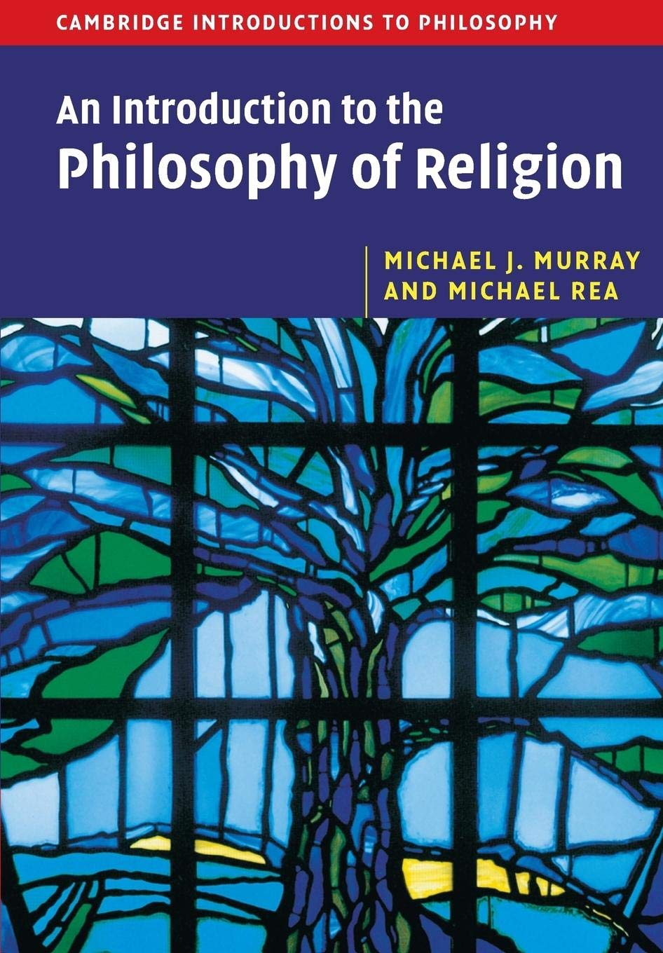 An Introduction to the Philosophy of Religion (Cambridge Introductions to Philosophy)