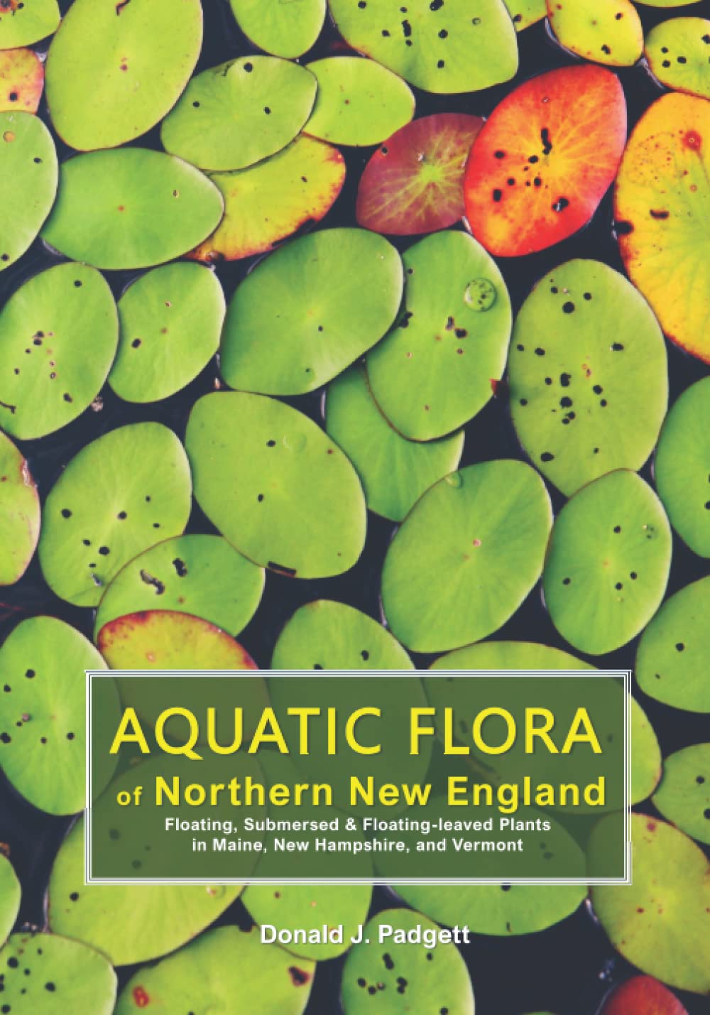 Aquatic Flora of Northern New England: Floating, Submersed, &amp; Floating-leaved Plants in Maine, New Hampshire, and Vermont