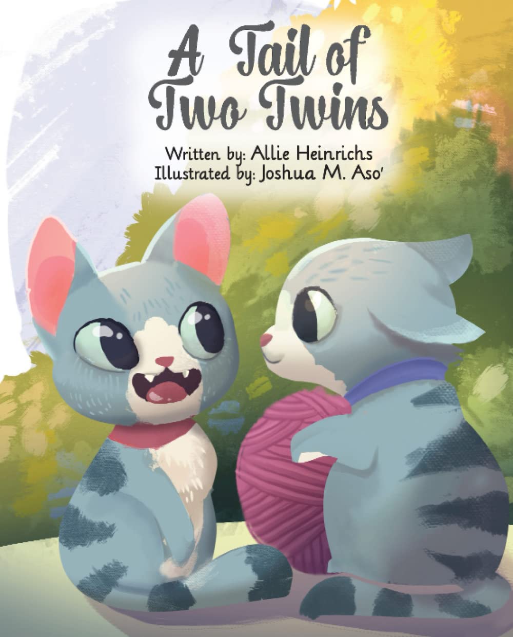 A Tail of Two Twins — used book cover