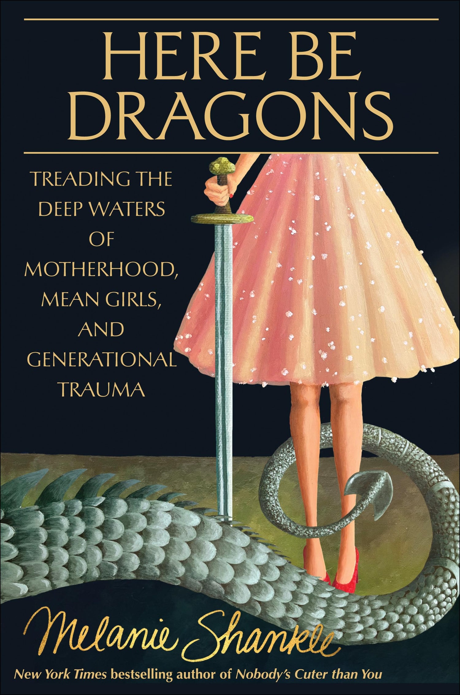 Here Be Dragons — used book cover