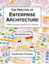 The Practice of Enterprise Architecture — used book cover