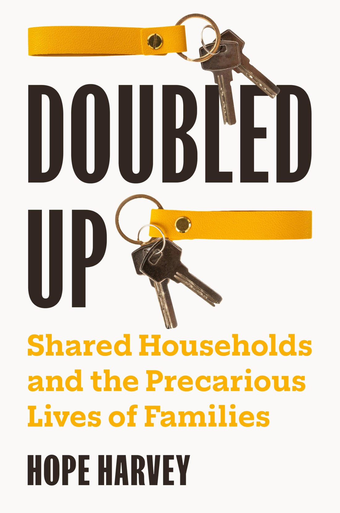 Doubled Up: Shared Households and the Precarious Lives of Families — used book cover
