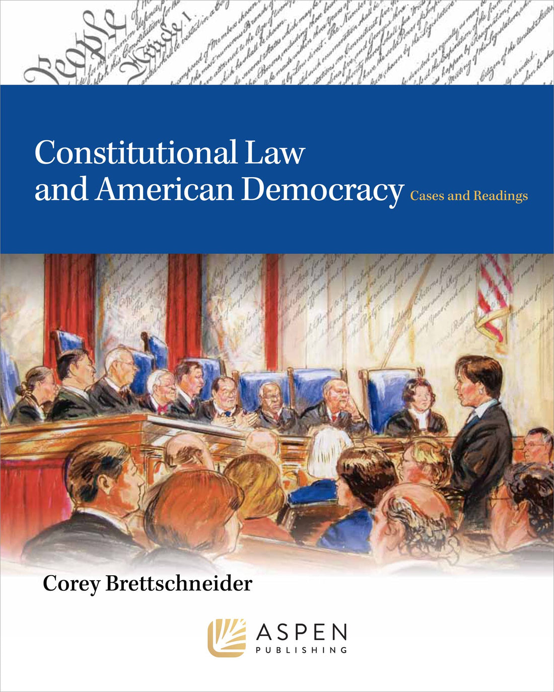 Constitutional Law and American Democracy — used book cover