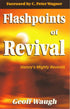 Flashpoints of Revival — used book cover