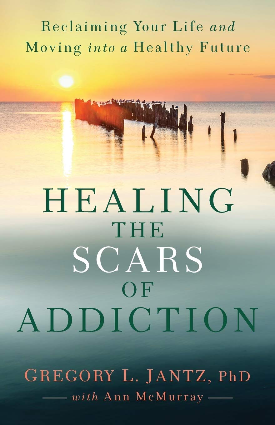 Healing the Scars of Addiction — used book cover