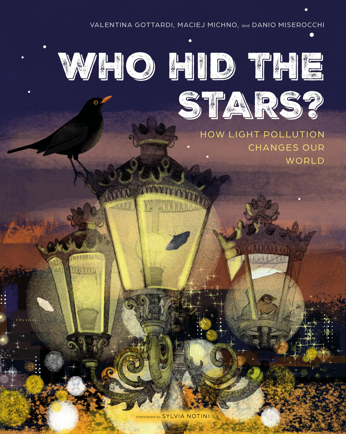 Who Hid the Stars?: How Light Pollution Changes Our World (Spectacular STEAM for Curious Readers (SSCR))
