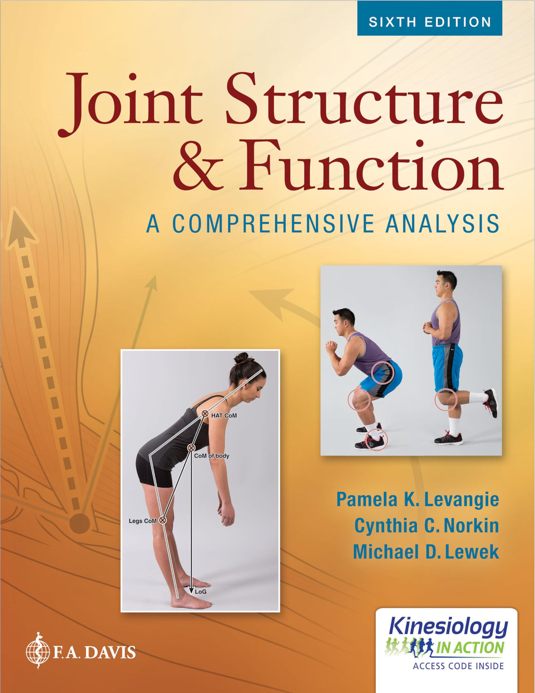 Joint Structure and Function: A Comprehensive Analysis